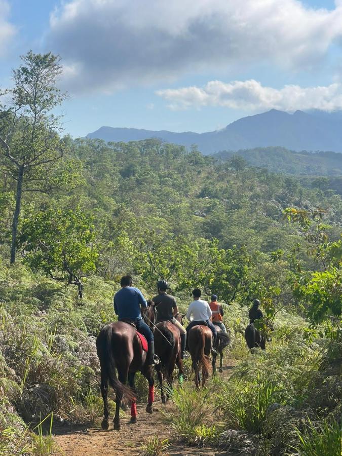 Lodge Lagoon Village Y Tarapoto