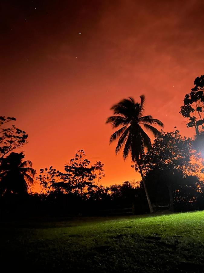 Lodge Lagoon Village Y Tarapoto