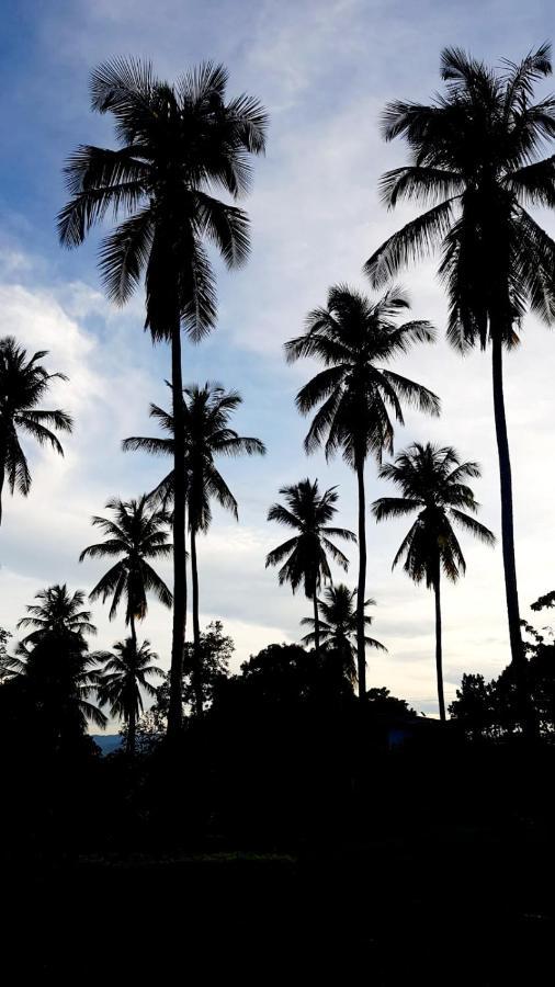 Lagoon Village Y * Tarapoto