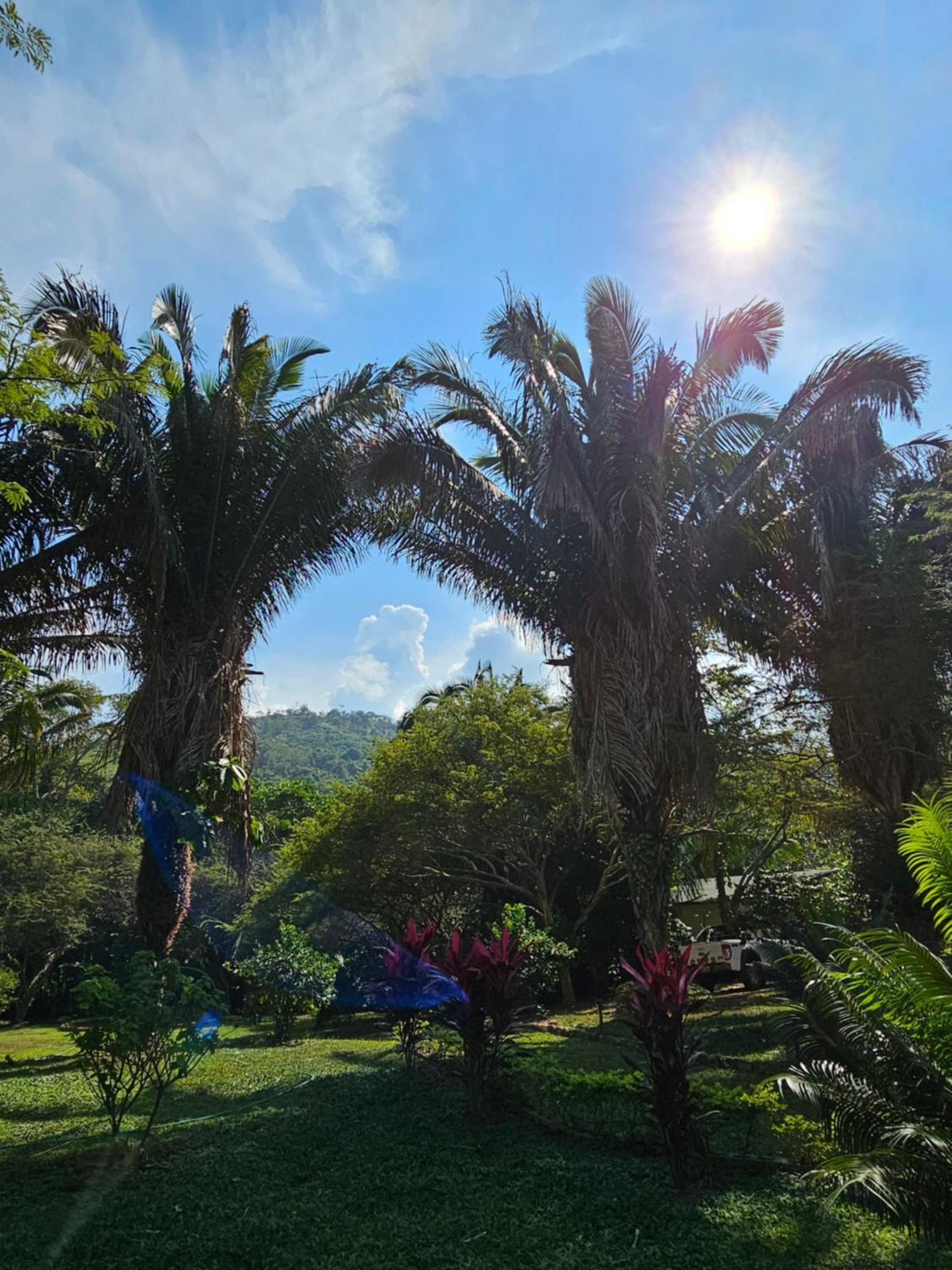 Lodge Lagoon Village Y Tarapoto