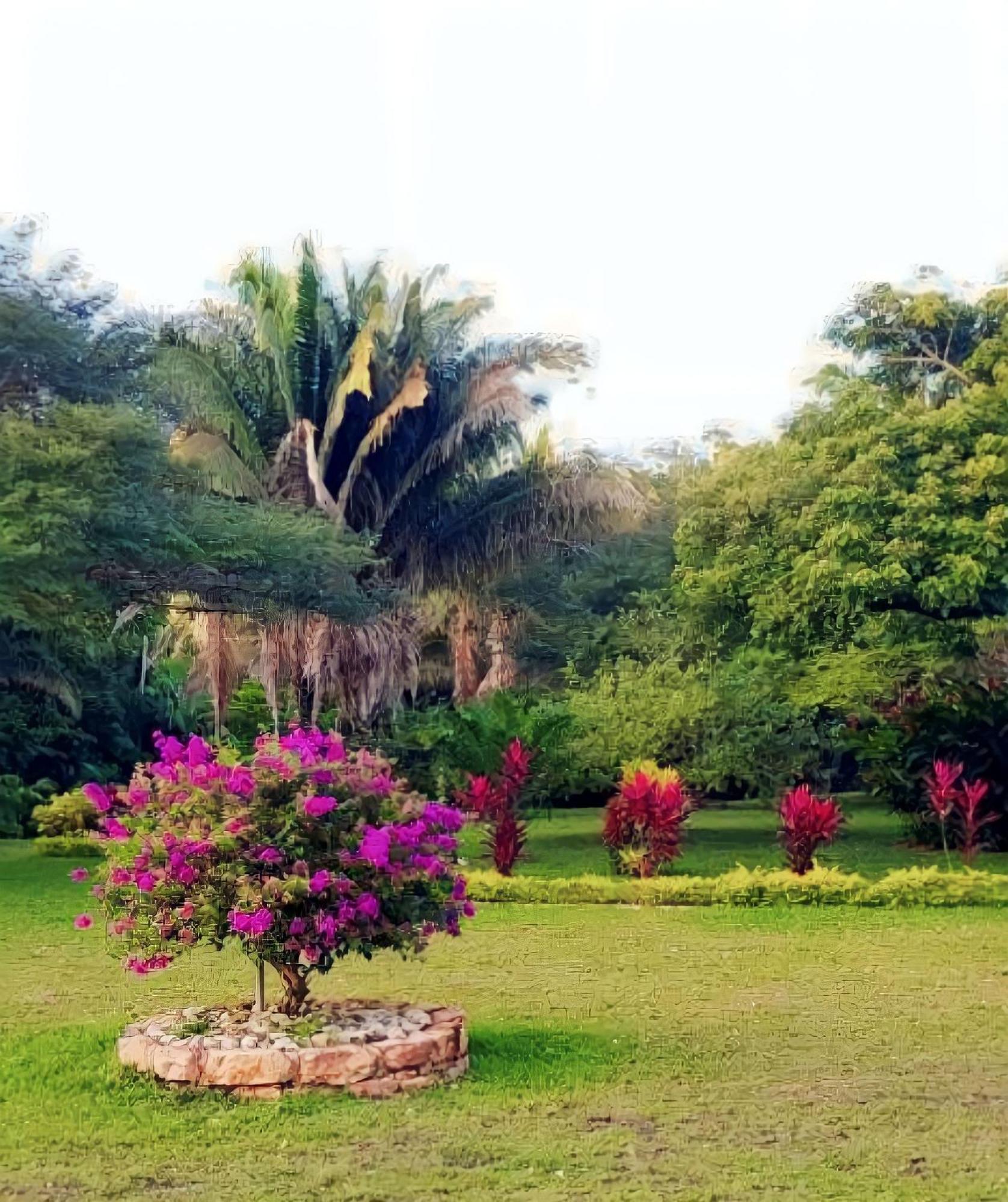 Lagoon Village Y Lodge Tarapoto